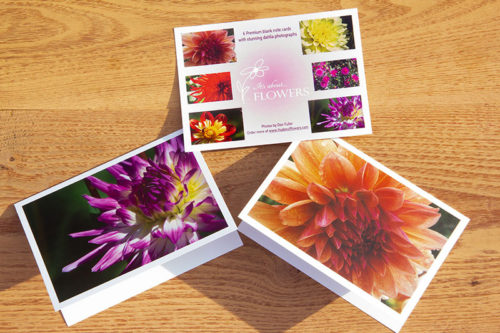 6 beautiful dahlia note cards with envelopes