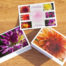 6 beautiful dahlia note cards with envelopes