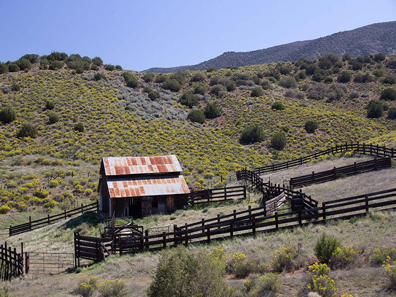 Carrizo barn