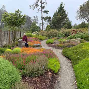 Mendocino Coast Botanical Garden