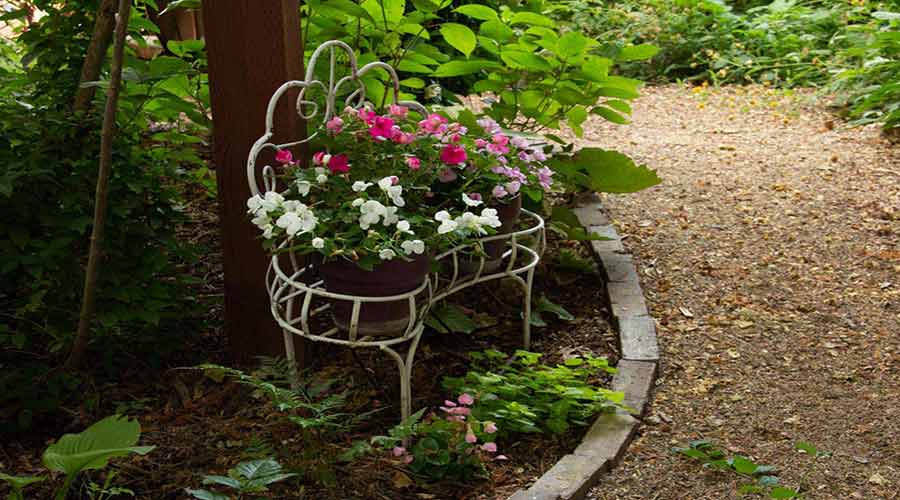 Annuals