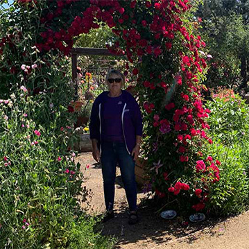 rose arch