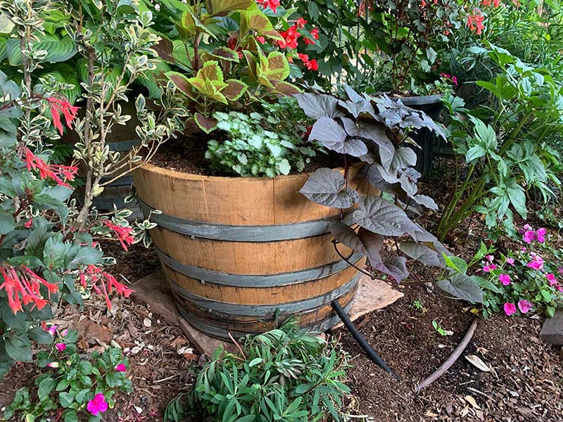 how to use wine barrel planters